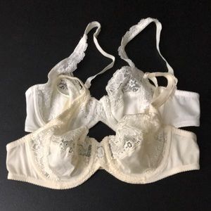 ralph lauren bras